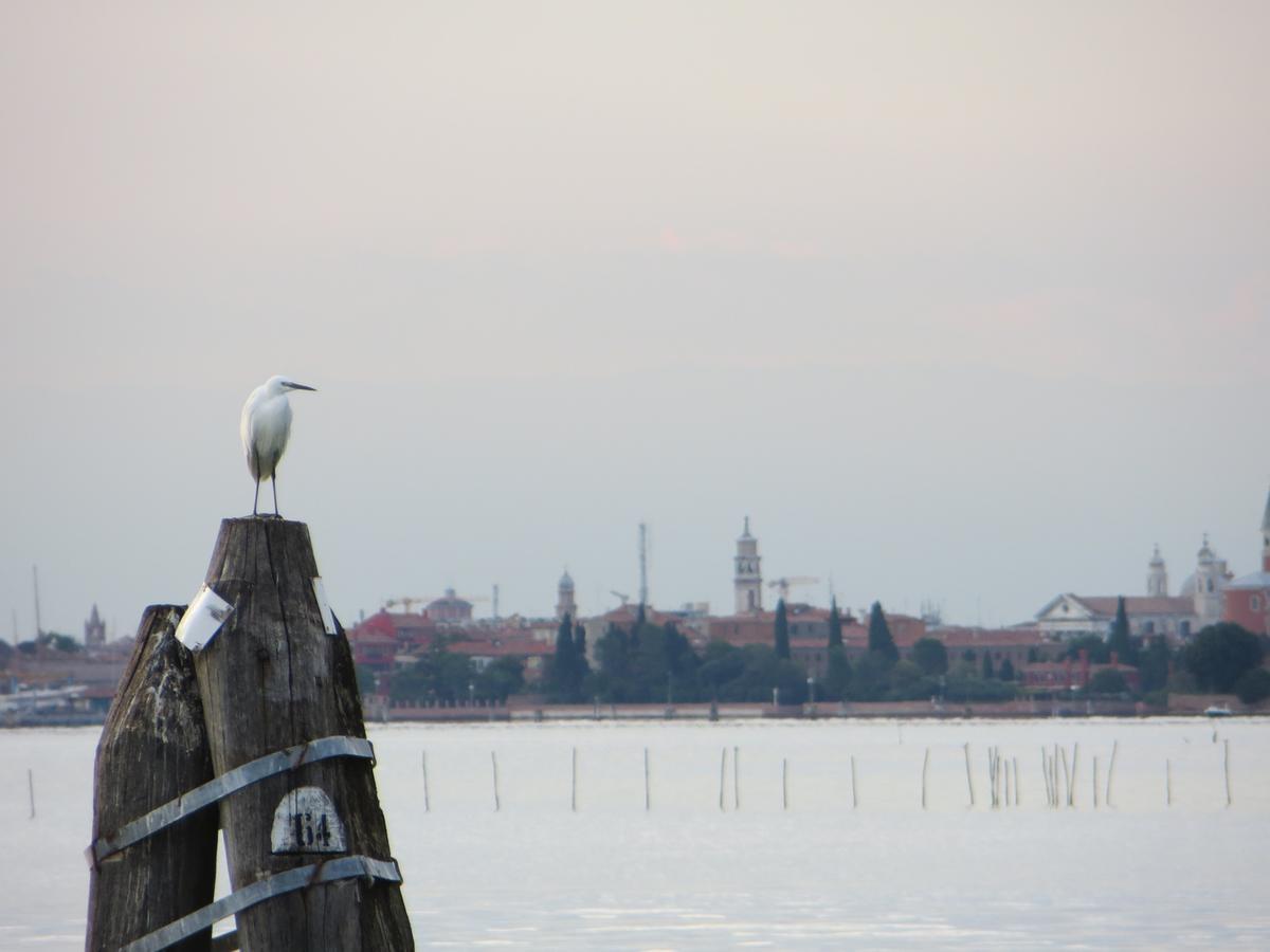 Villa Elisabetta Lido di Venezia Exterior photo