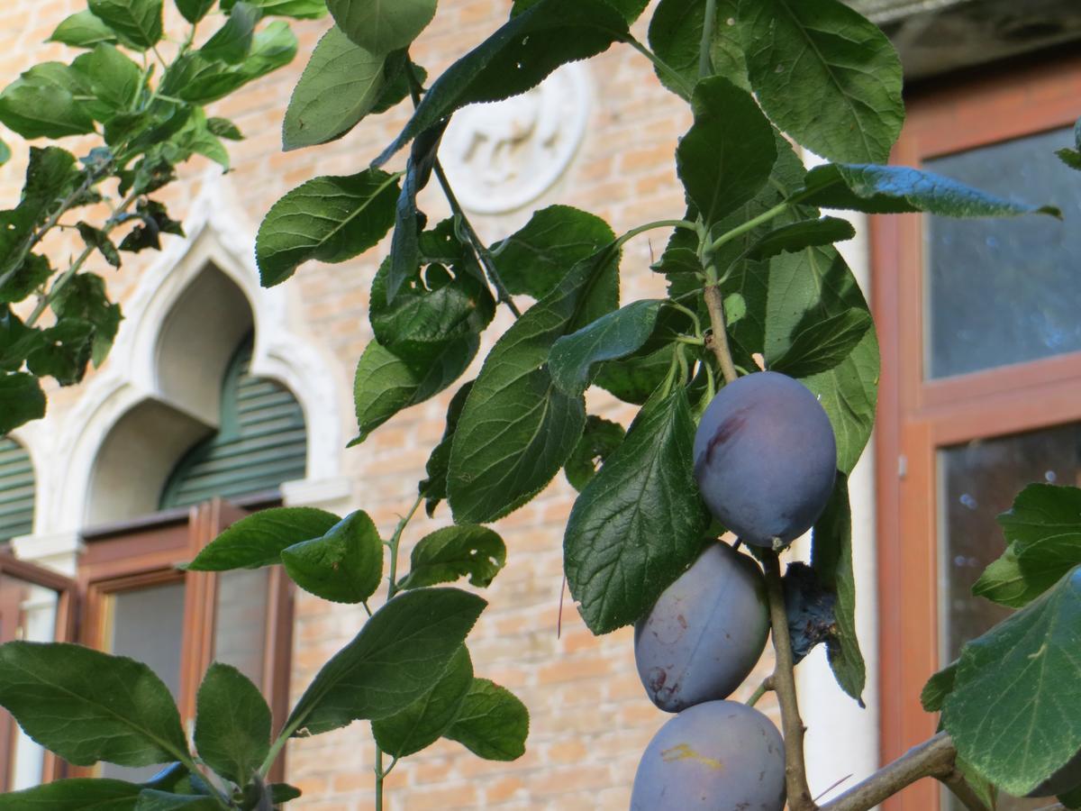 Villa Elisabetta Lido di Venezia Exterior photo